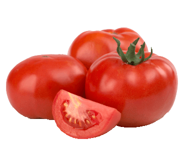 گوجه فرنگی بندری